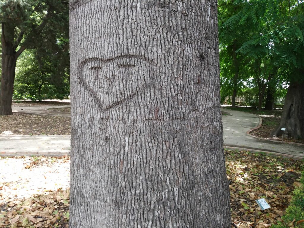 LLAMADA SORPRESA!